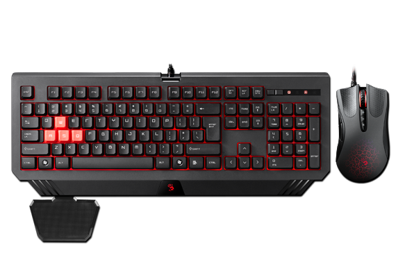 Bloody Official Website